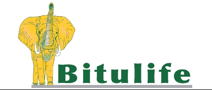 Bitulife — Partenaire JAZ Engineering